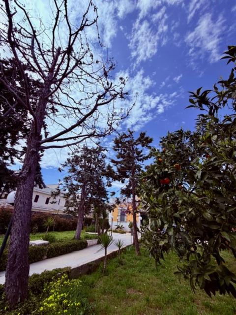 Photo of Others in Trani