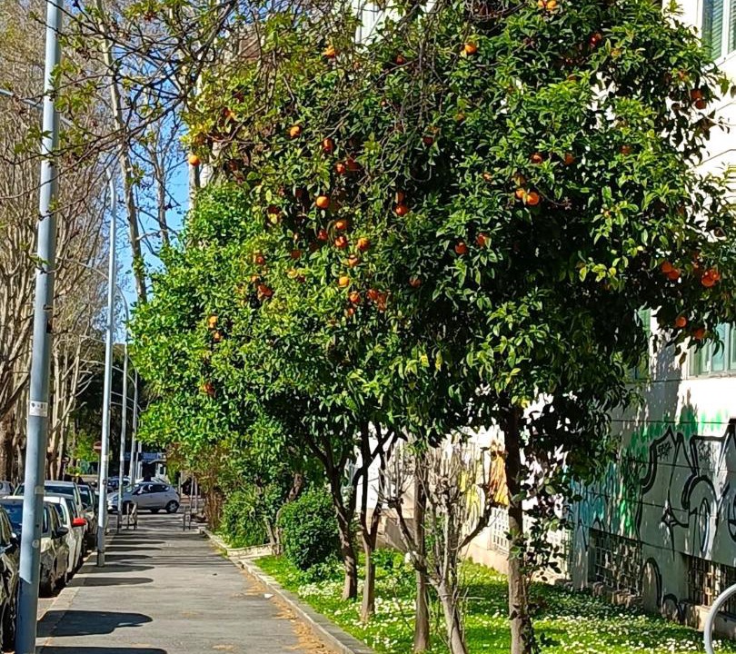 Photo of Others in Quartiere XX Ardeatino