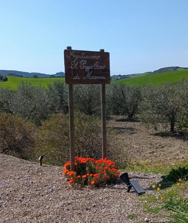 Photo of Others in Manciano