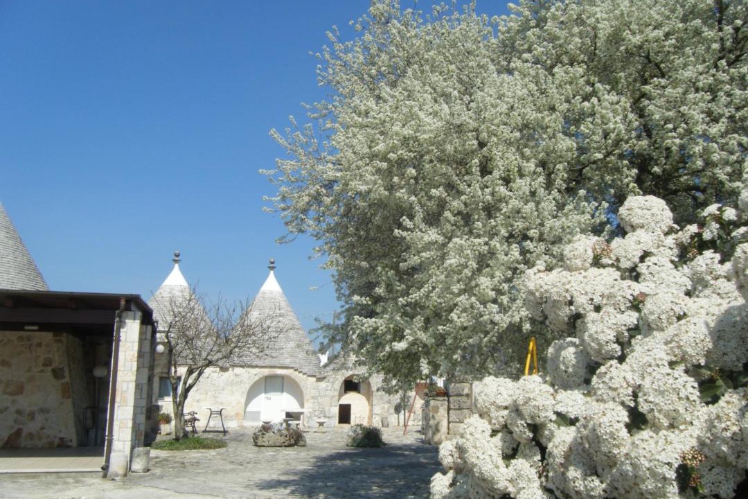 Photo of Others in Noci