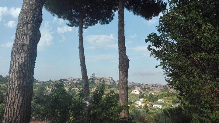 Photo of Others in Velletri
