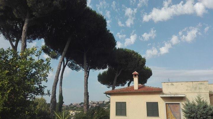 Photo of Others in Velletri