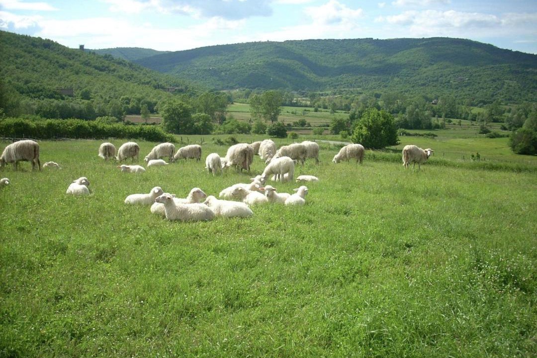 Photo of Others in Lisciano Niccone