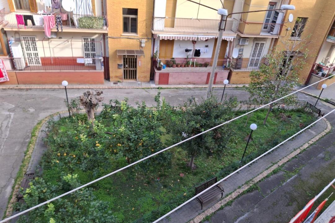 Photo of Others in Foggia
