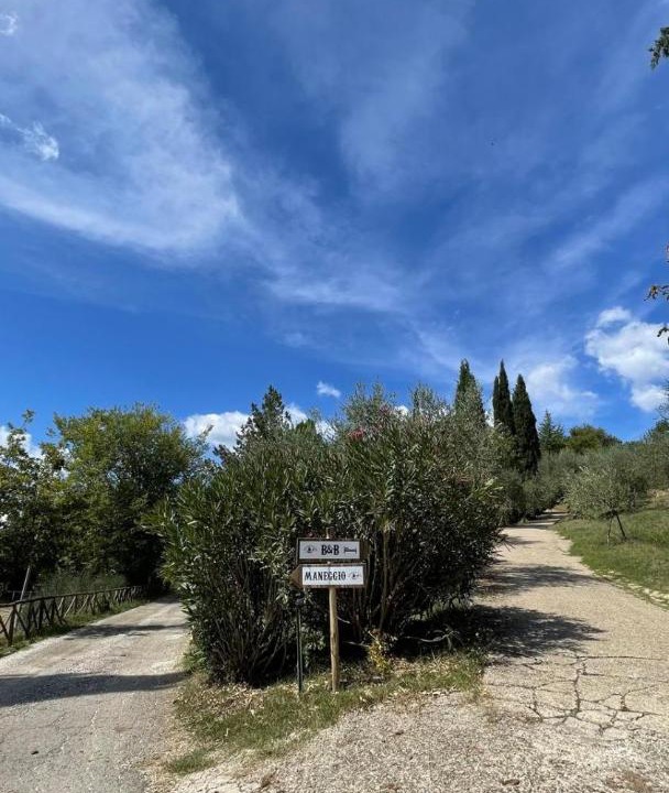 Photo of Others in Capranica