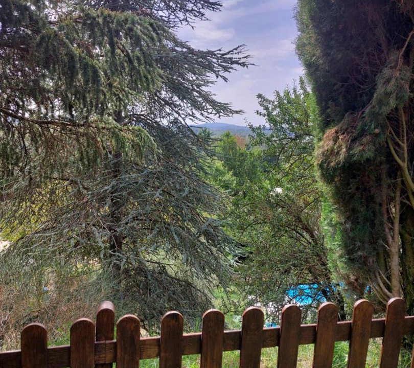 Photo of Others in Capranica