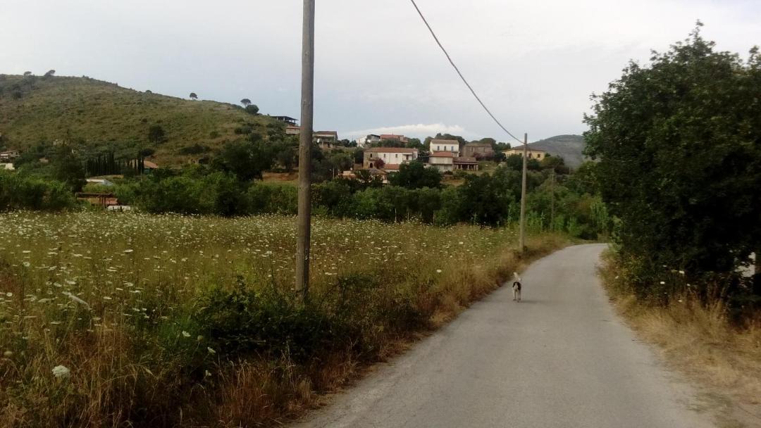 Photo of Others in Castellabate