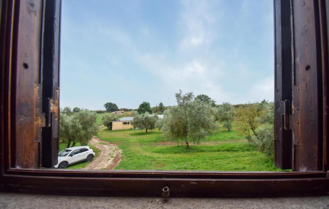 Photo of Others in Vignanello