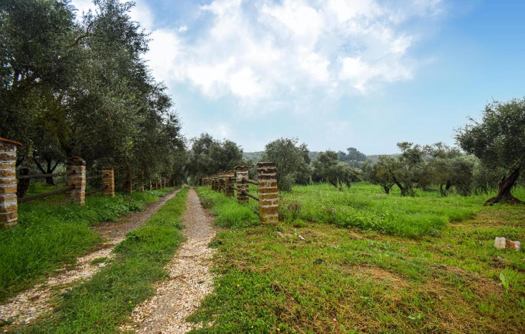 Photo of Others in Vignanello