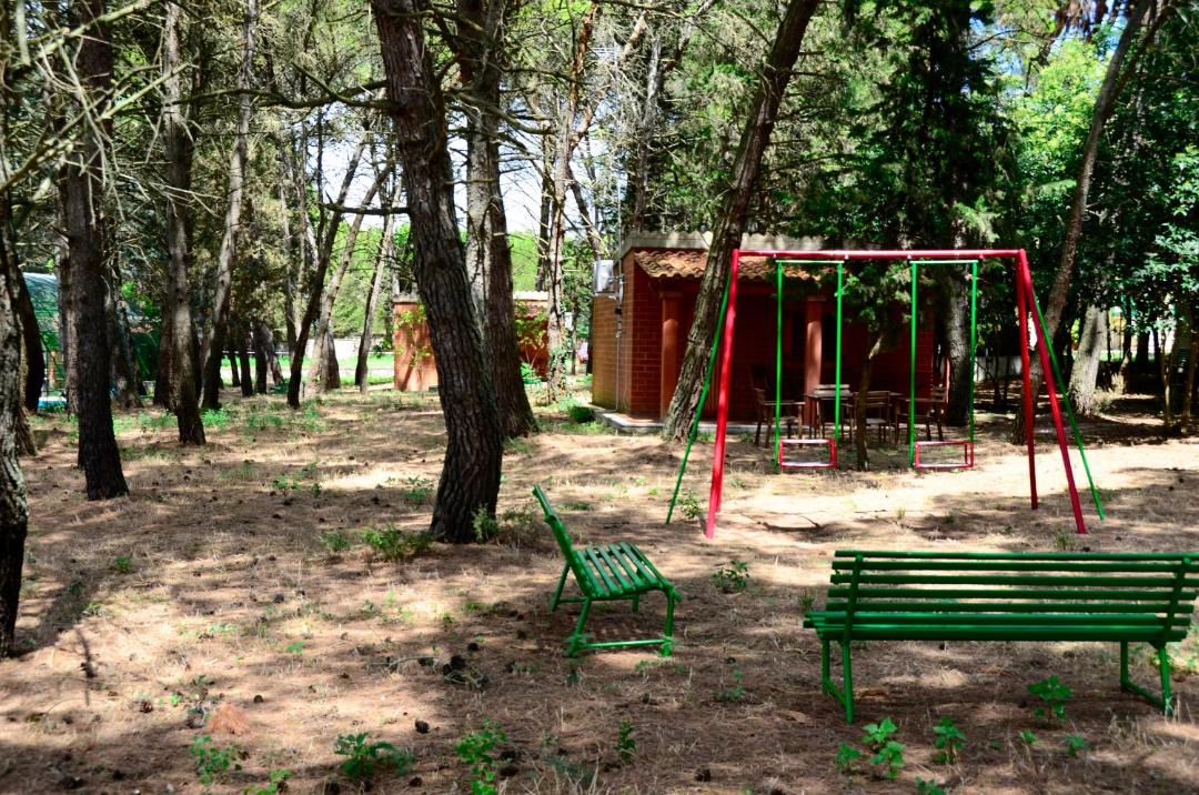 Photo of Others in Altamura