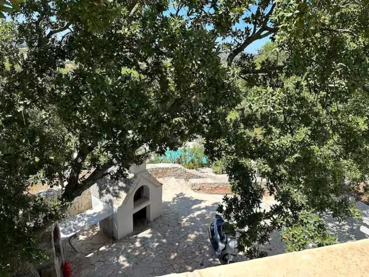 Photo of Others in Martina Franca