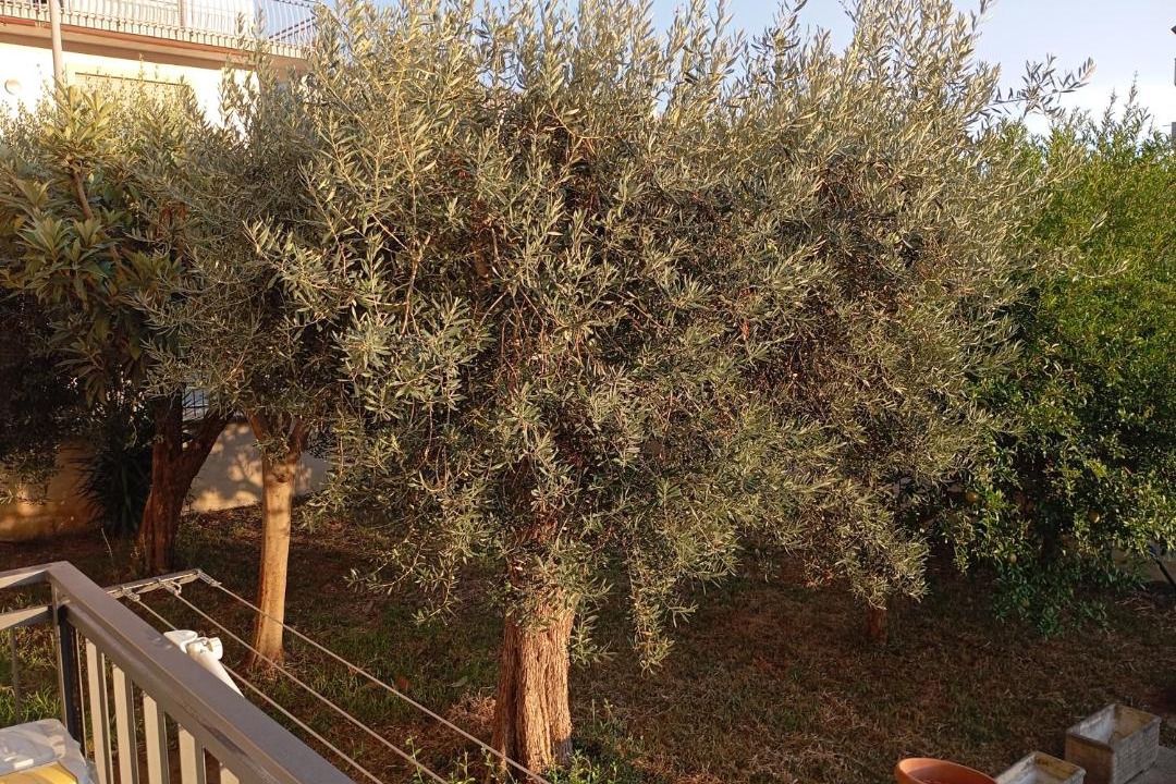 Photo of Others in Fondi
