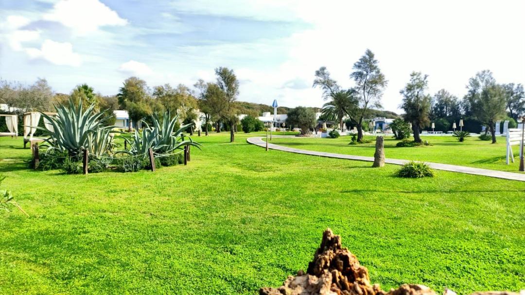 Photo of Others in Ladispoli