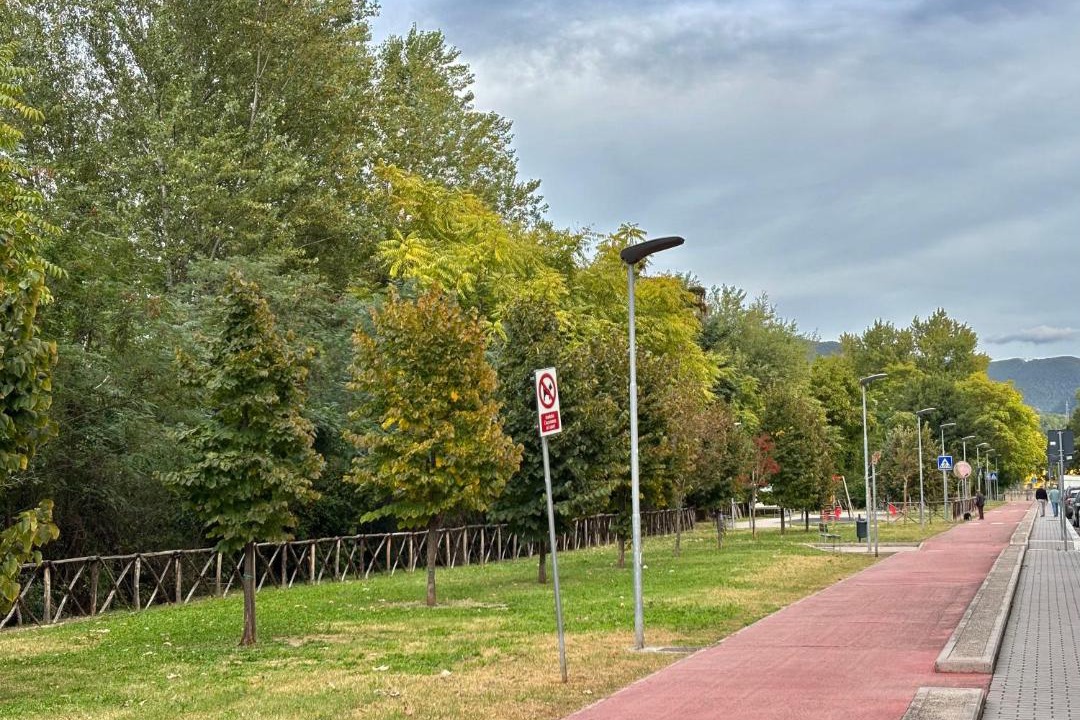 Photo of Others in Terni