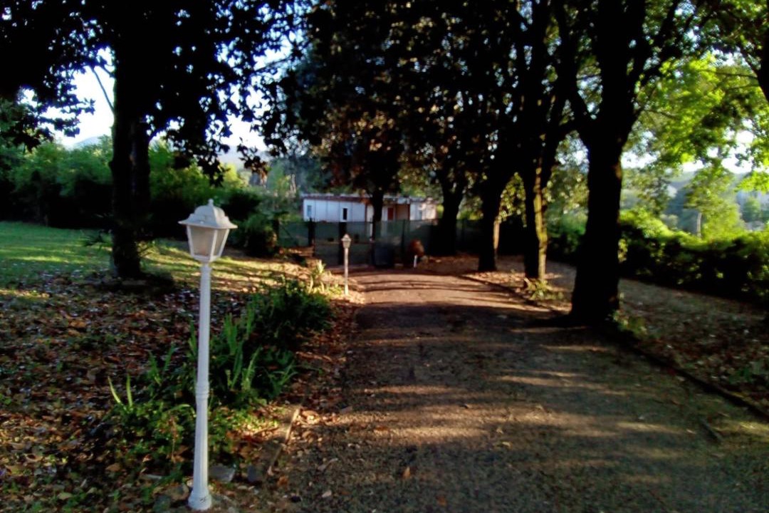 Photo of Others in Sutri