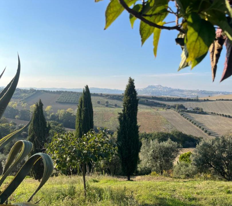 Photo of Others in Fermo