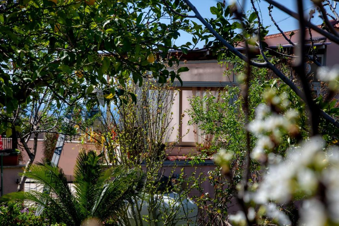 Photo of Others in Terracina