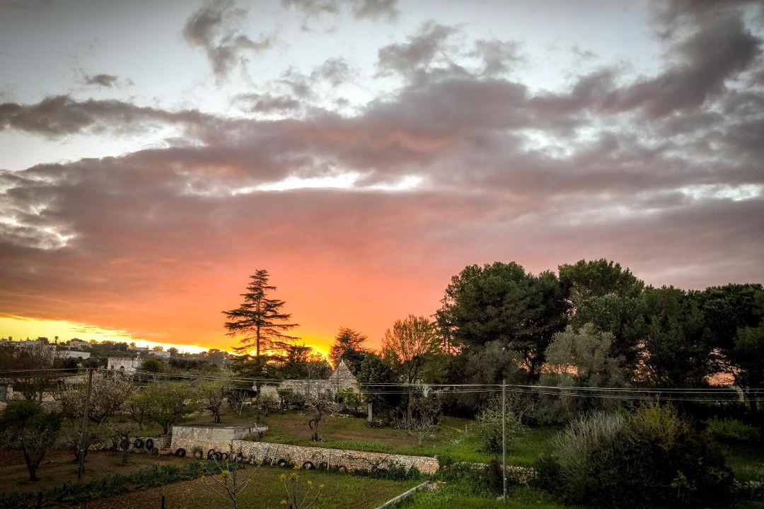 Photo of Others in Locorotondo