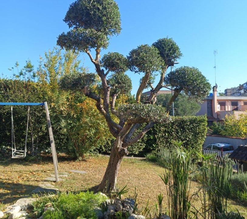 Photo of Others in Zona XLV Castel di Guido