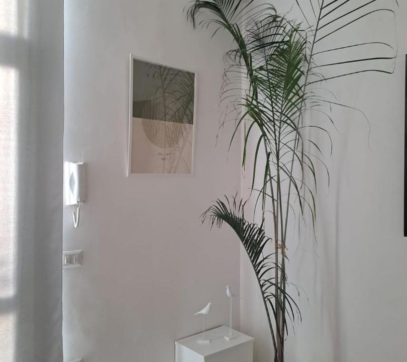 Photo of Others in Santi Cosma e Damiano