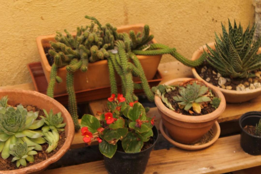 Photo of Others in Acquasparta