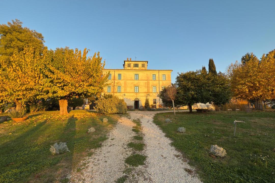 Photo of Others in Velletri