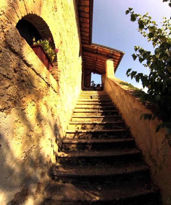 Photo of Others in Santa Rufina