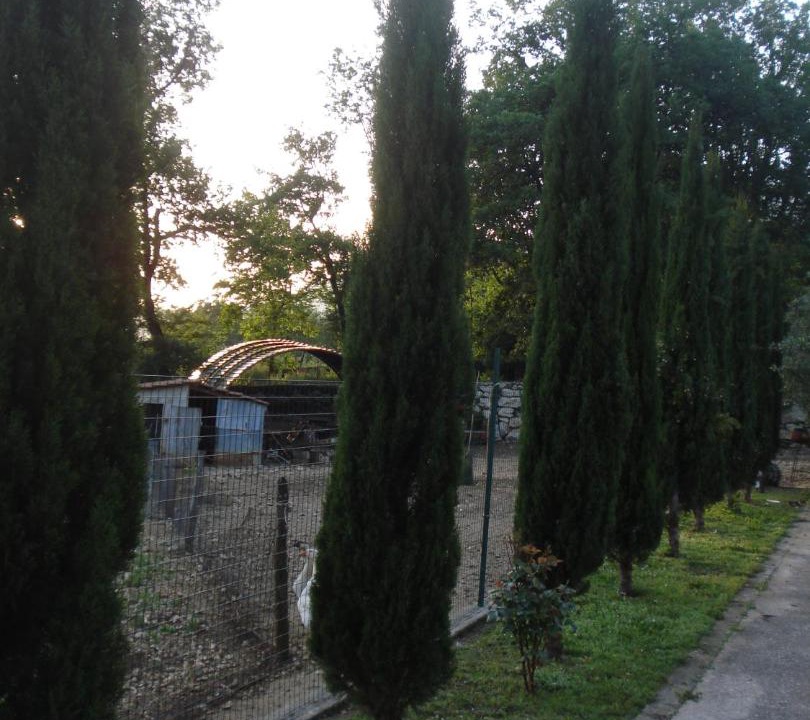 Photo of Others in San Donato Val Di Comino
