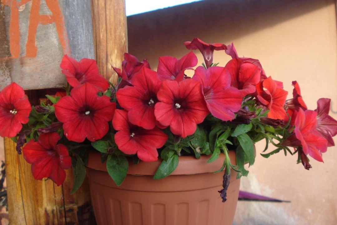 Photo of Others in San Donato Val Di Comino