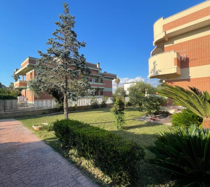 Photo of Others in Nettuno