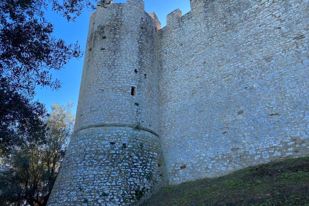 Photo of Others in Contrada Castello