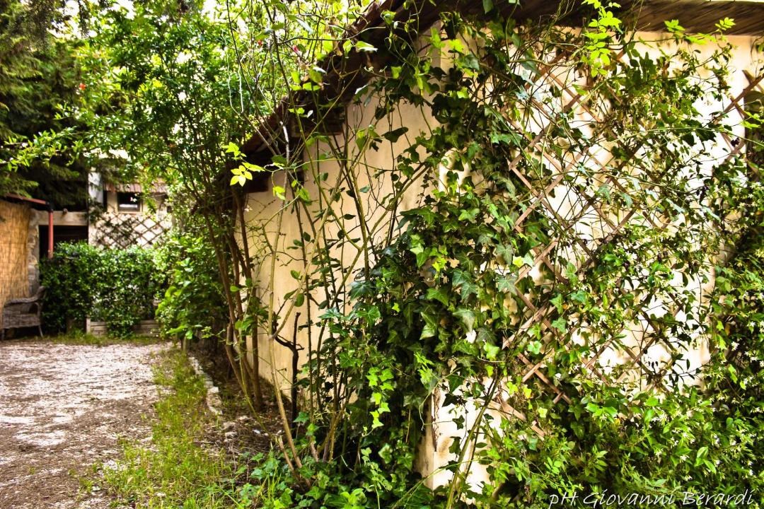 Photo of Others in Ruvo di Puglia