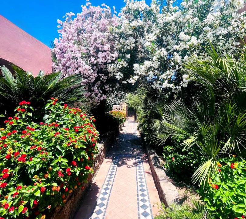 Photo of Others in Ventotene