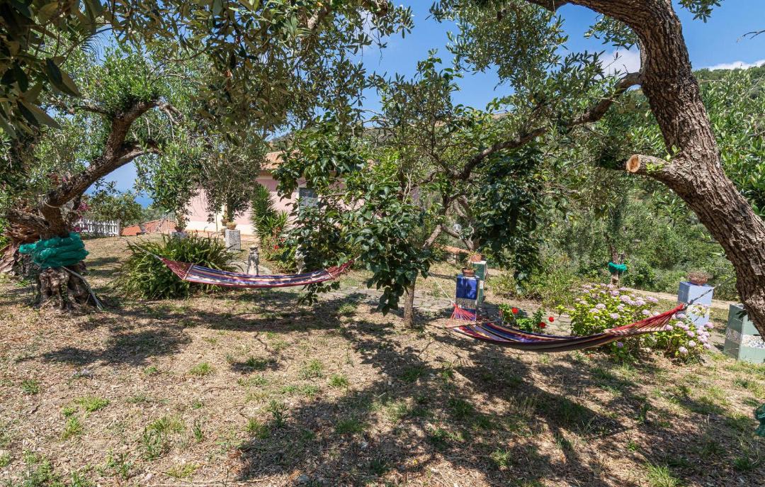 Photo of Others in San Mauro Cilento