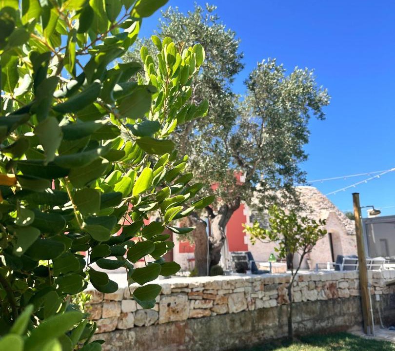 Photo of Others in Monopoli