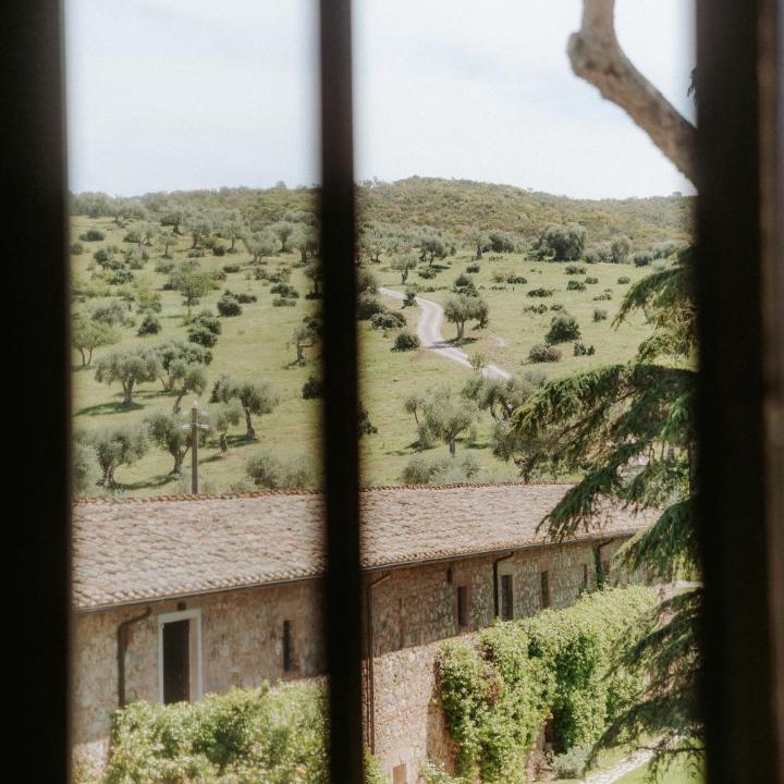Photo of Others in Montorsaio