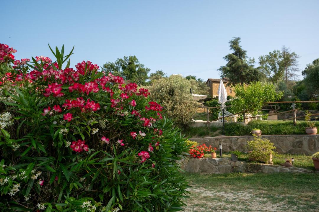 Photo of Others in Panicale