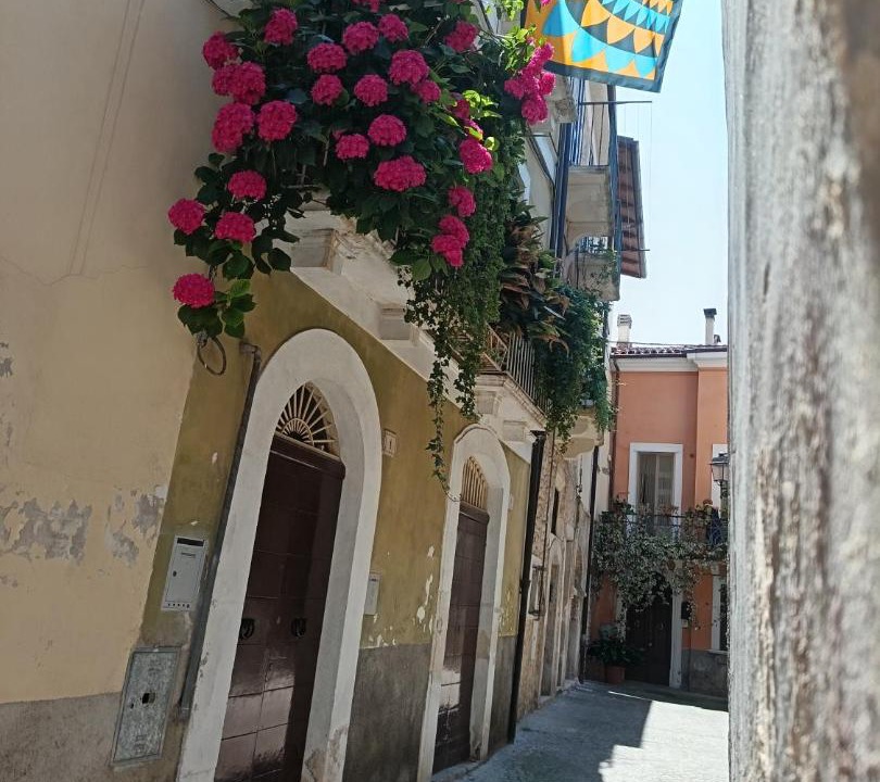 Photo of Others in Sulmona