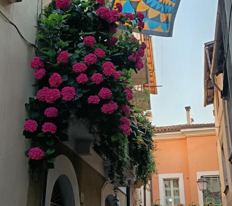 Photo of Others in Sulmona