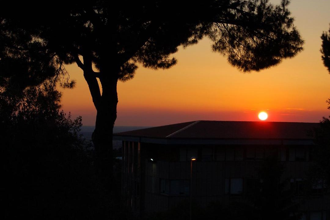 Photo of Others in Frascati