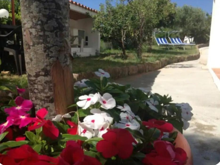 Photo of Others in Ventotene