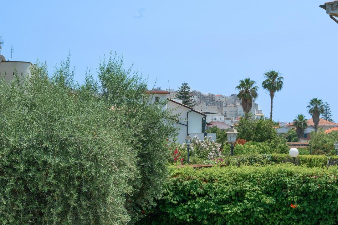 Photo of Others in Sperlonga