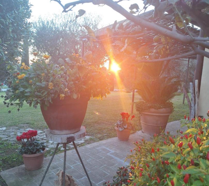 Photo of Others in Cerveteri