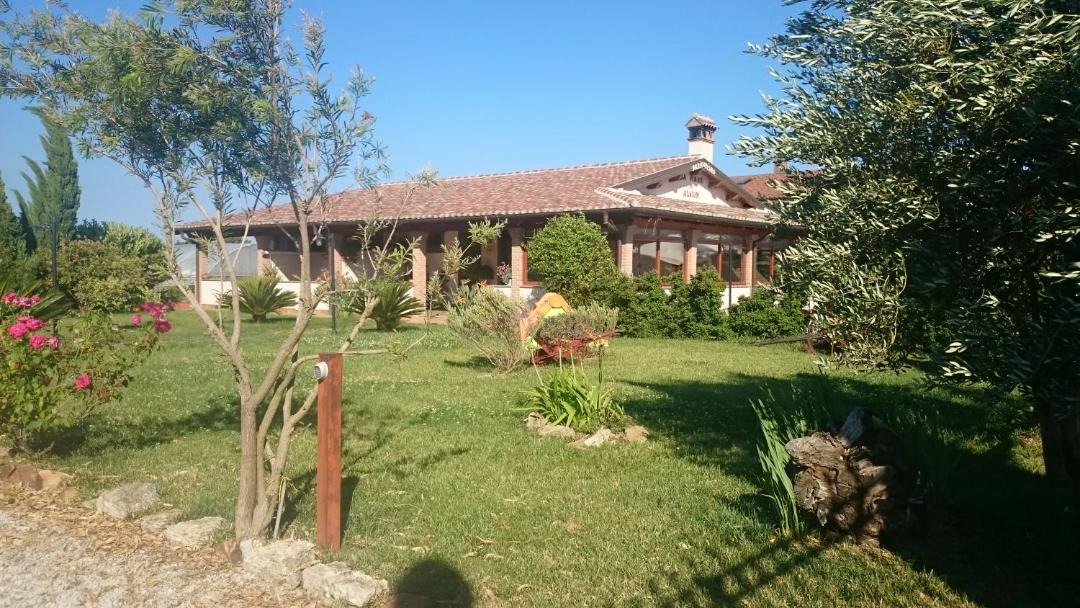 Photo of Others in Ladispoli