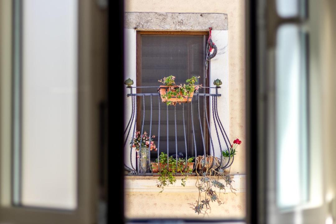 Photo of Others in Rieti
