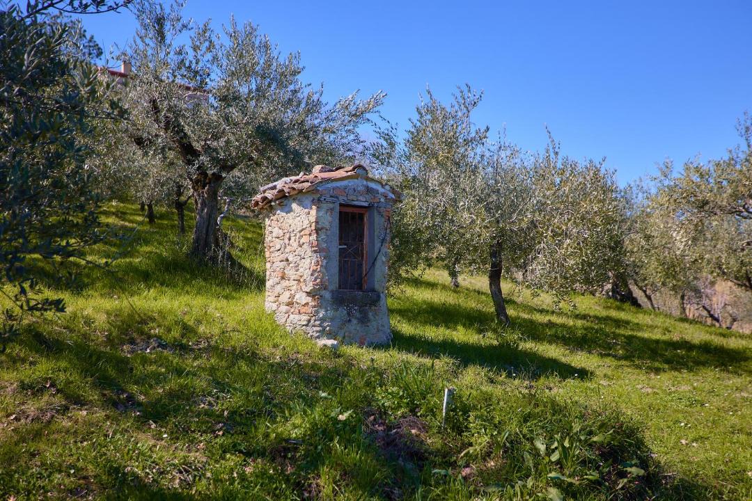 Photo of Others in Mirabello Sannitico