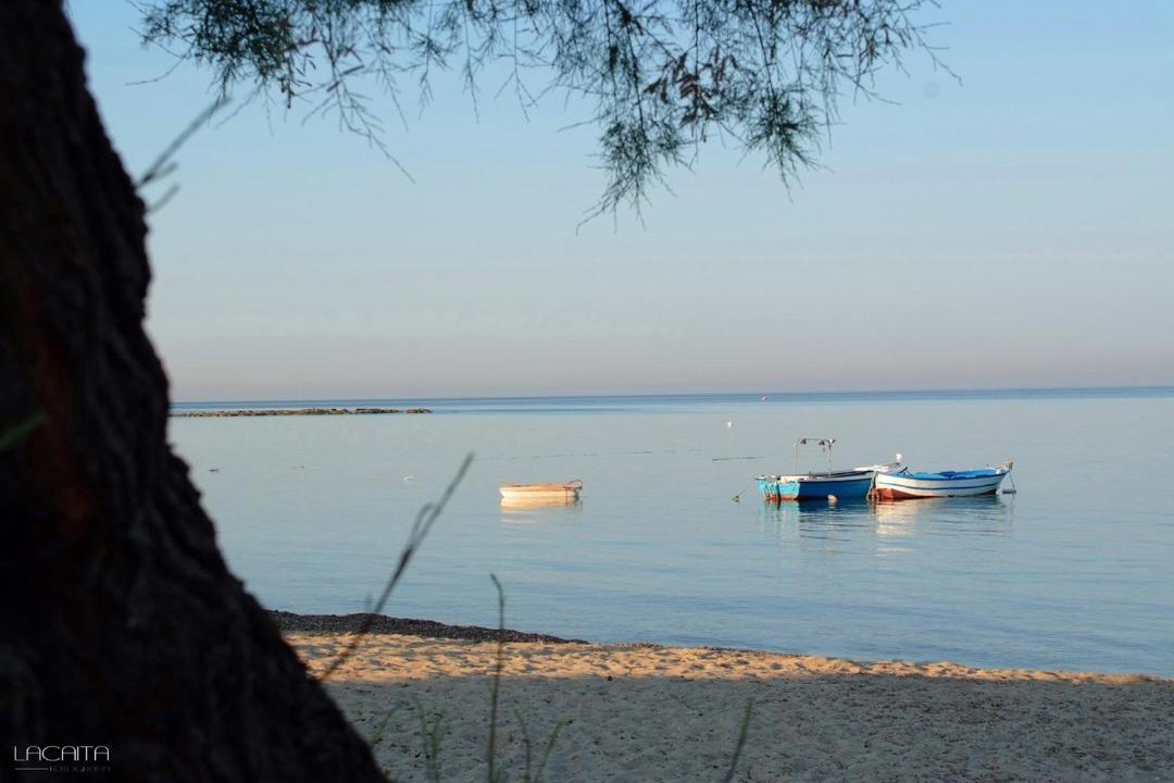 Photo of Others in Torricella