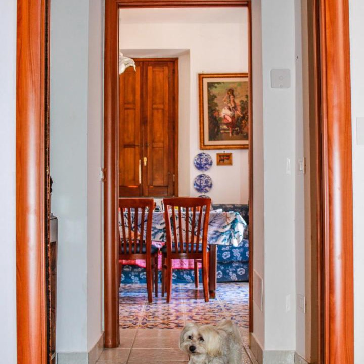 Photo of Others in Piano di Sorrento