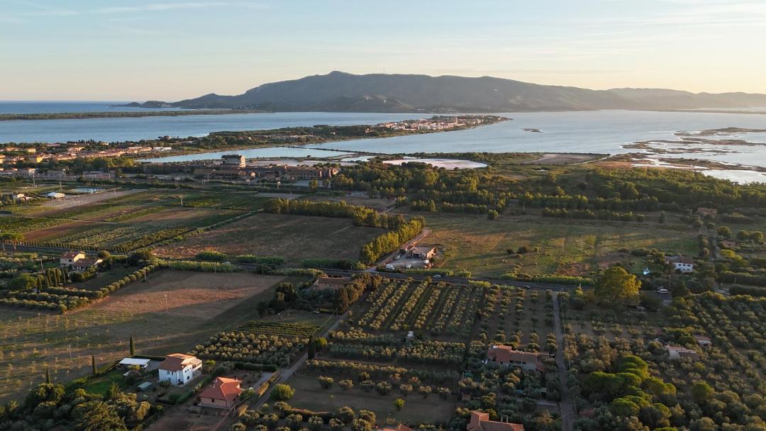 Photo of Others in Orbetello