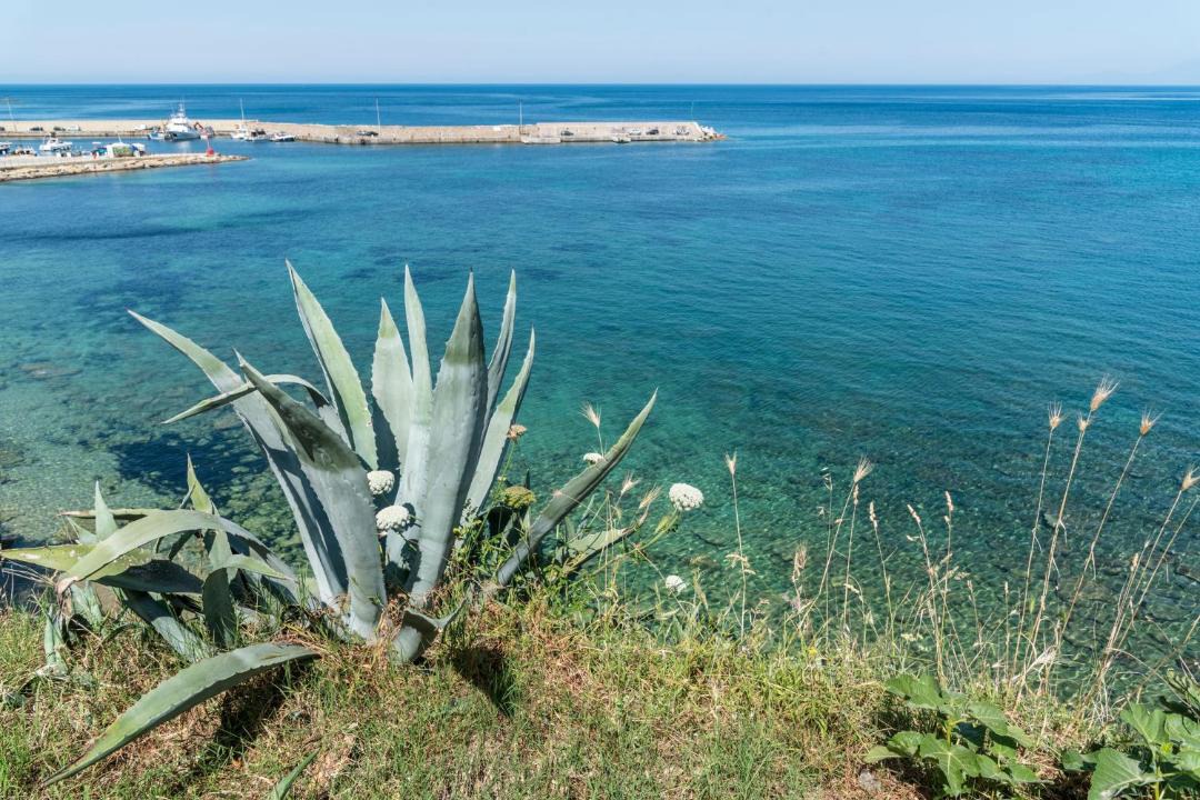 Photo of Others in San Marco di Castellabate